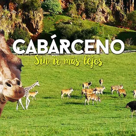 De 120m2 Al Lado De Cabarceno アパート