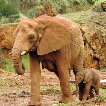 De 120m2 Al Lado De Cabarceno Διαμέρισμα Saron