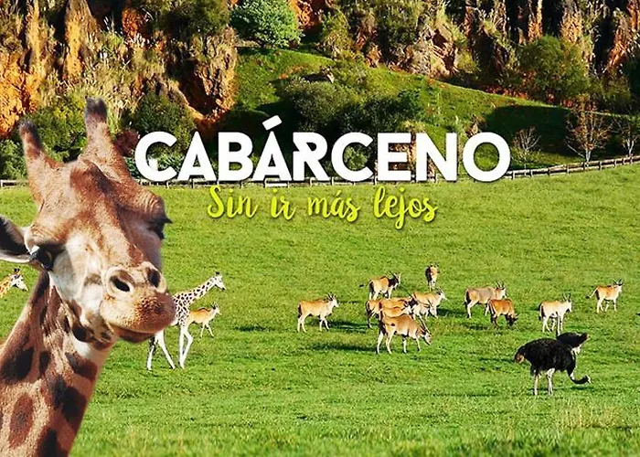 De 120m2 Al Lado De Cabarceno Appartement