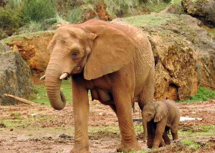 De 120m2 Al Lado De Cabarceno Apartment Saron